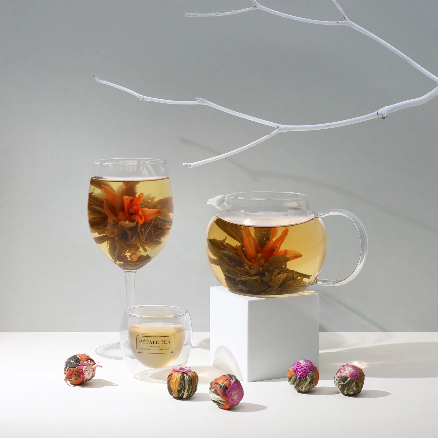 Gratitude tea balls bloomed in a glass and a glass teapot, in a light studio